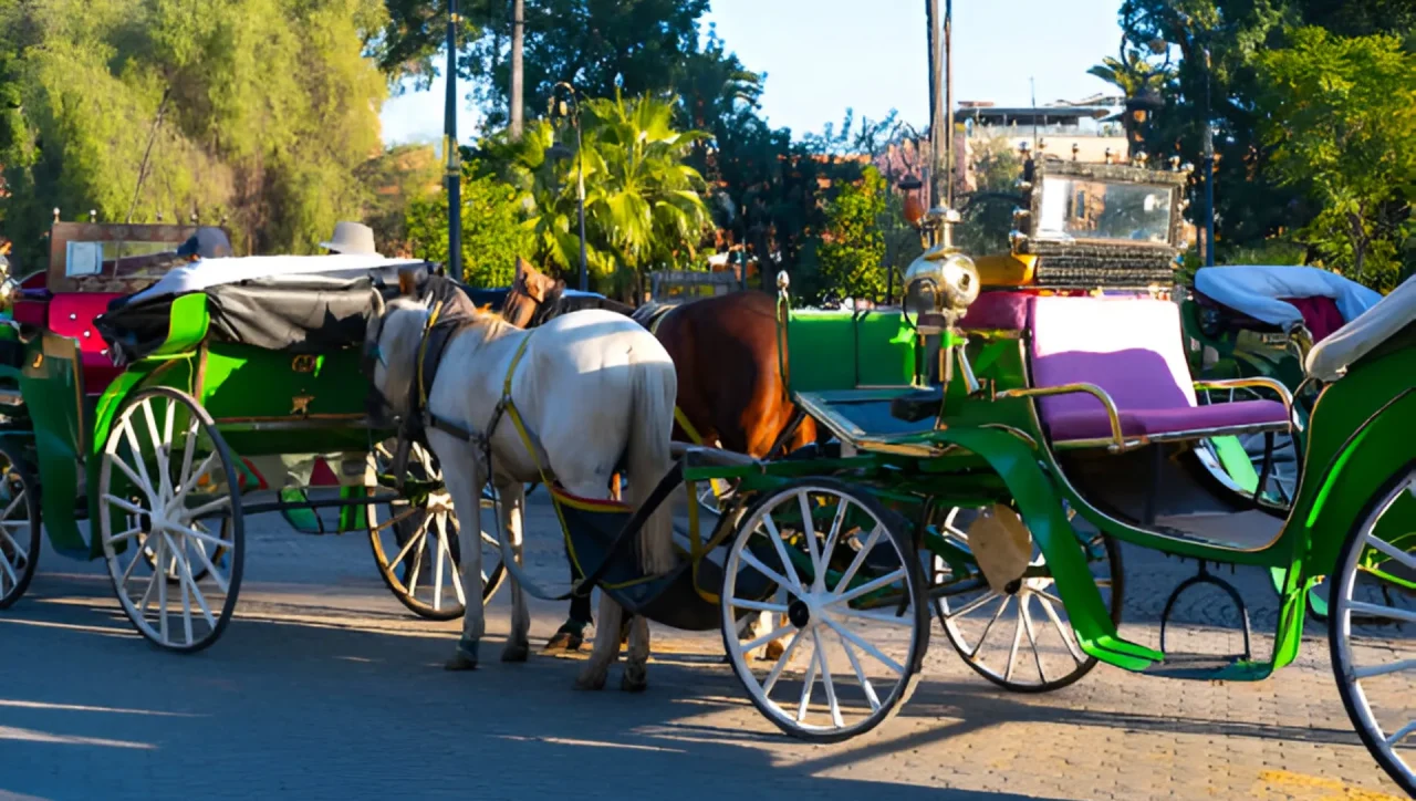 Horse Carriage Ride