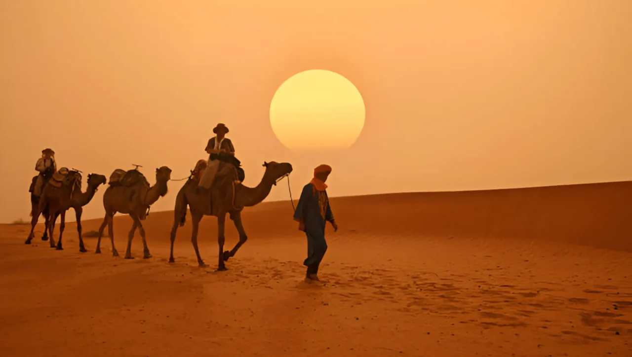 camel ride in desert south