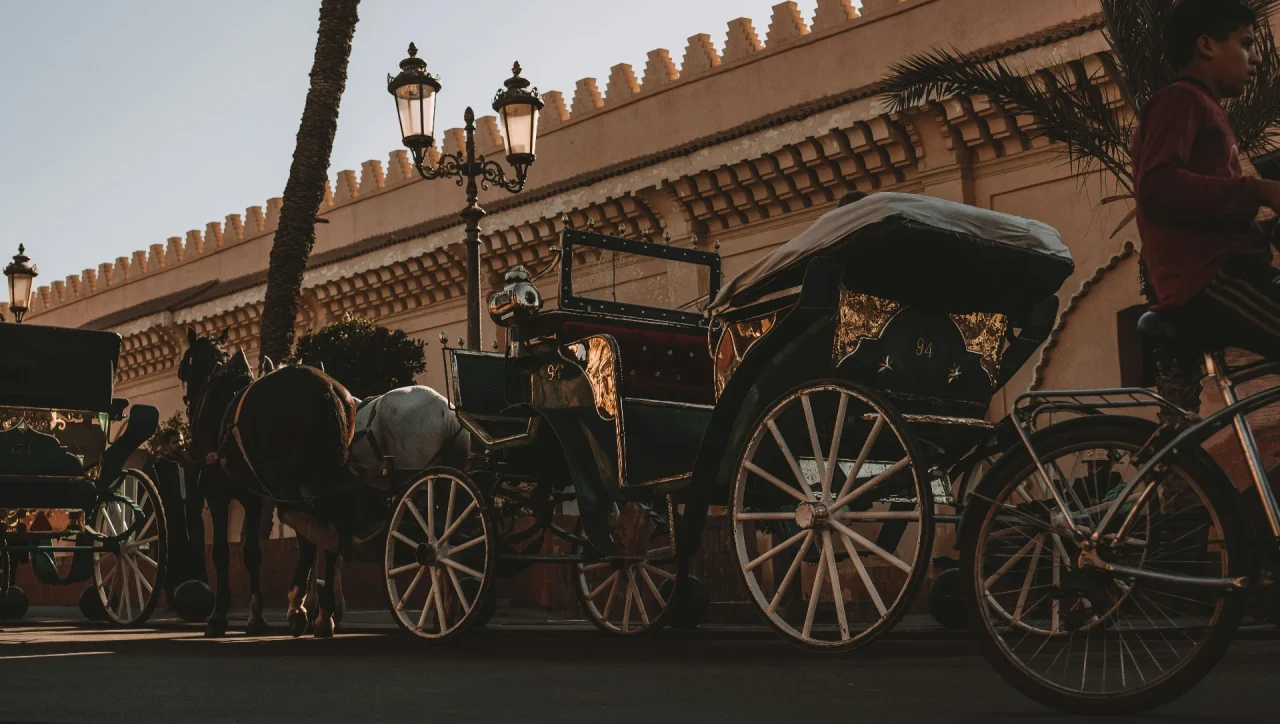 Horse Carriage Ride