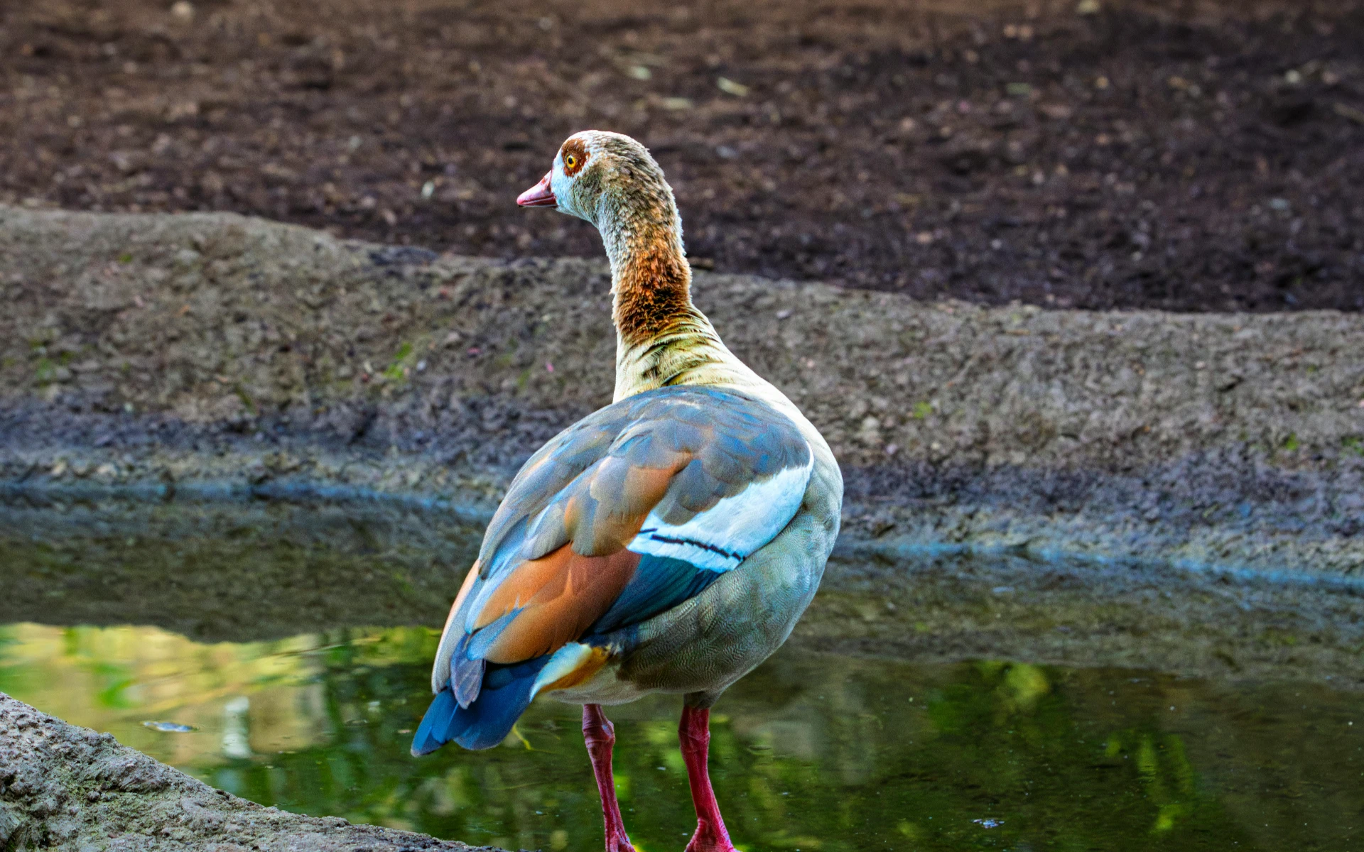 Villate Laymoune Zoo Half Day